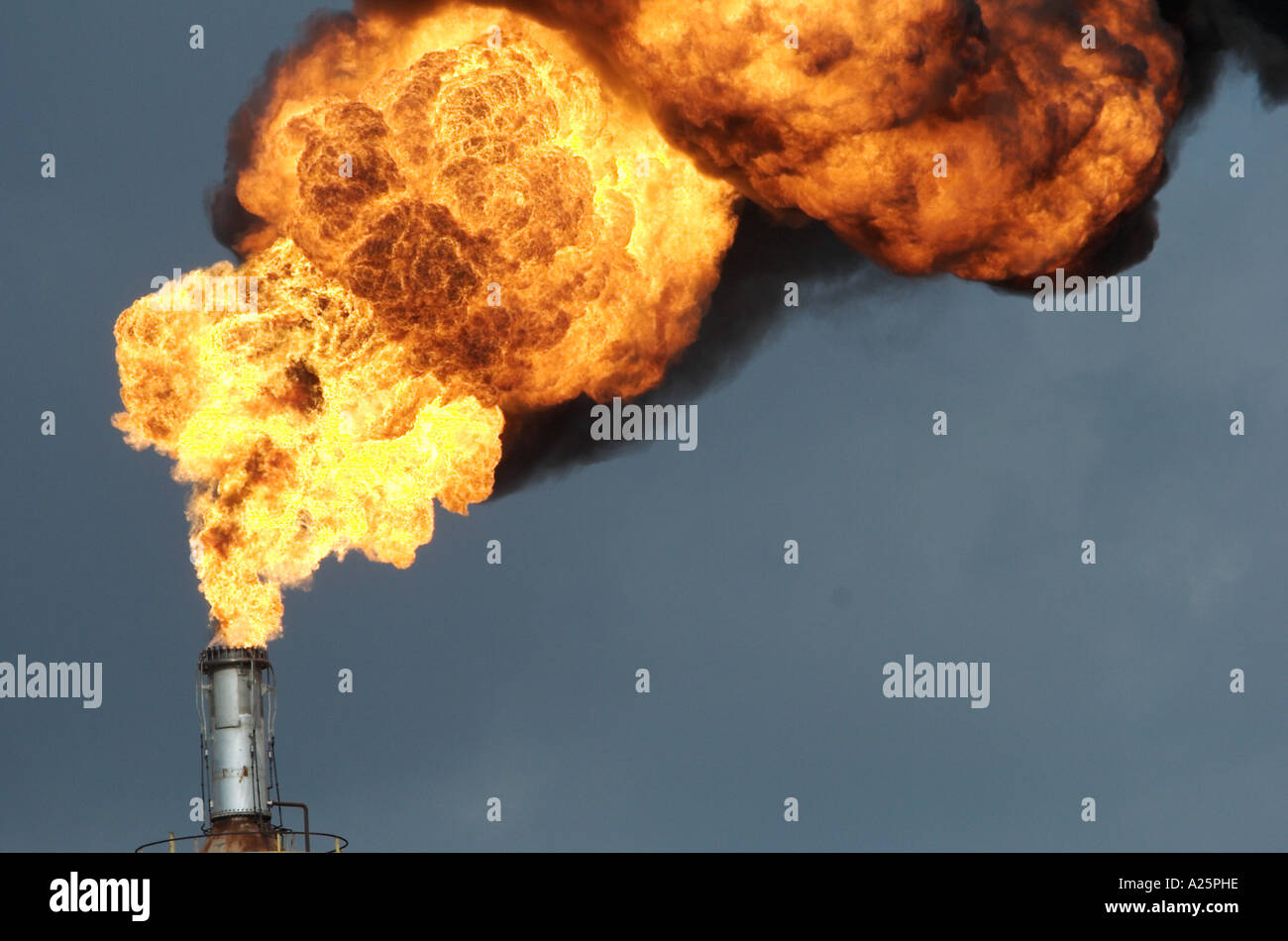 Intensive heiße Feuer brennen von Öl-Raffinerie-Fackeln Stockfoto