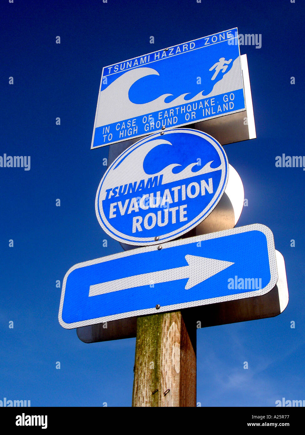 Tsunami-Warnung und Evakuierung Richtung Zeichen auf Oregon State Highway 34 in der Coastal Stadt Waldport in Oregon Stockfoto