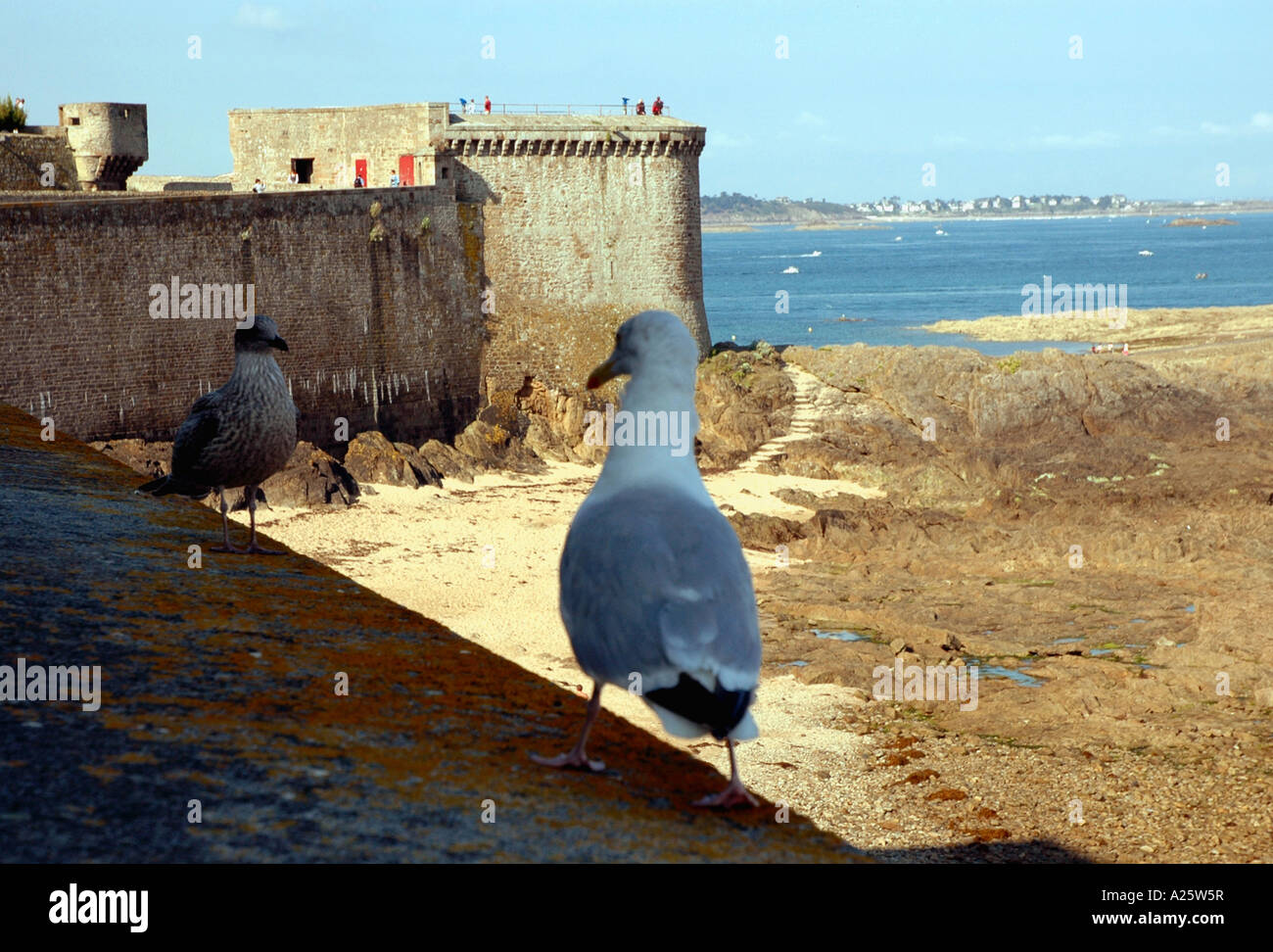 Panorama Ansicht Saint Malo Strandpromenade & Strand Sant San S Maloù Breton Bretagne Bretagne Ärmelkanal Westfrankreich Nordeuropa Stockfoto