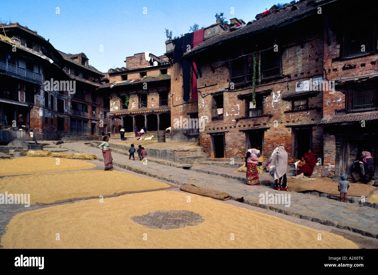 Reis die Hauptstütze der Nepali-Diät wird in einem offenen Innenhof BHAKTAPUR NEPAL getrocknet Stockfoto