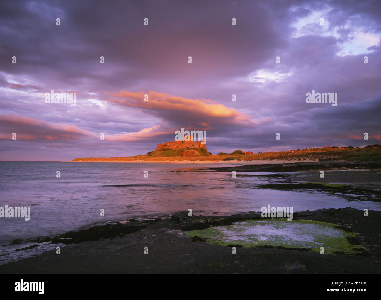 Historische Bamburgh Castle in der Nähe von Bamburgh bei Sonnenuntergang mit Sturm, Wolken, Northumberland Küste, Northumberland, England, Großbritannien Stockfoto