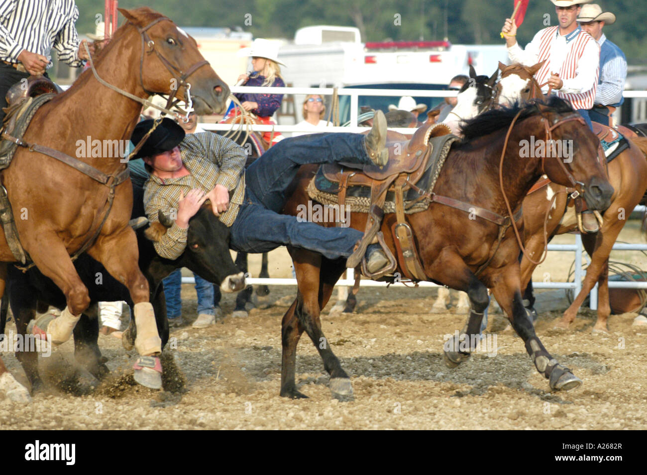 Cowboys konkurrieren in Rodeo Aktion Stockfoto