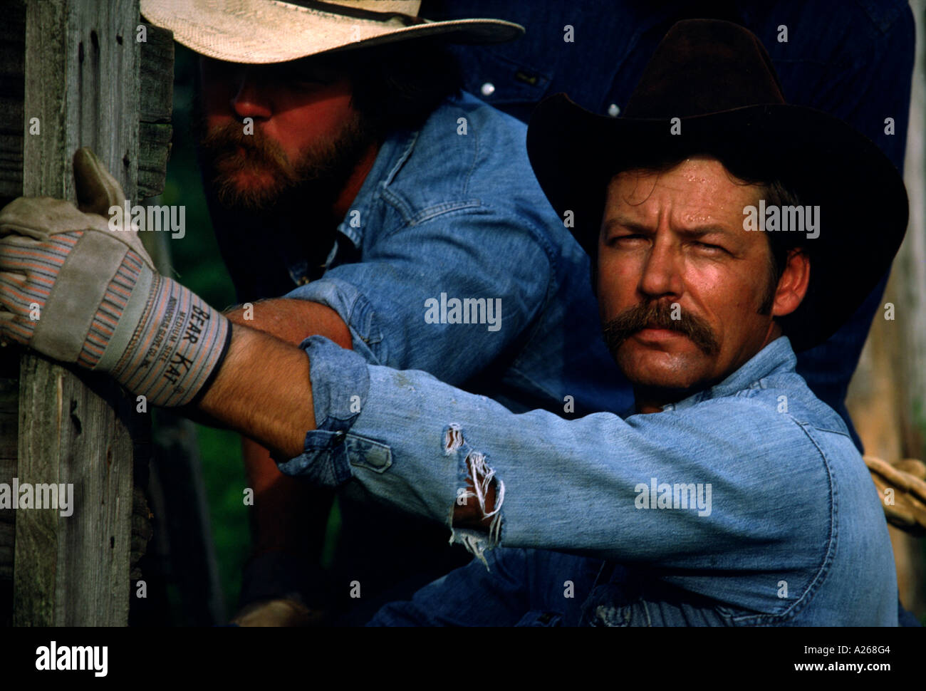 Ein Kuhhirte sichert einen Zaunpfahl auf einen gebrochenen Corral, während sein Kumpel versucht, es auf einer Ranch in Texas zu beheben Stockfoto