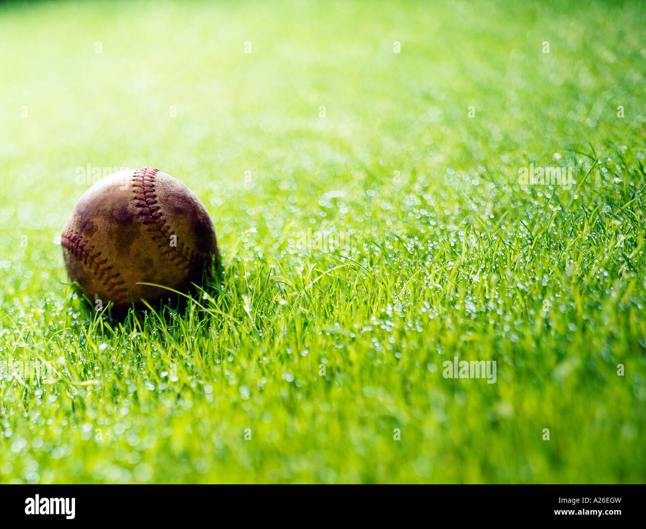 Baseball in Grass horiz Stockfoto