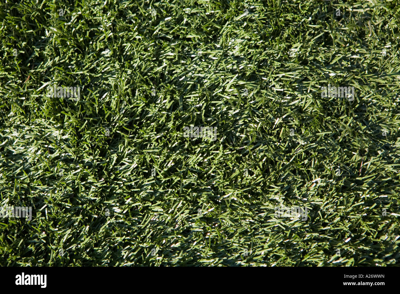 Nahaufnahme des Astro-turf Stockfoto