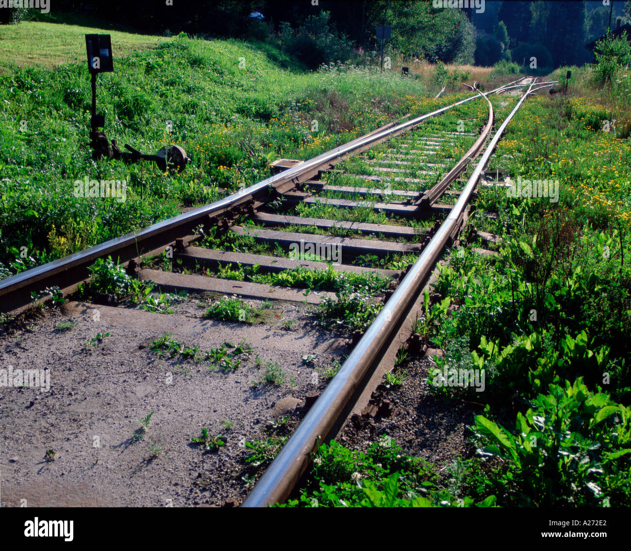 Überwuchert von lokalen Railway Line Tanvald Strecken Hory Czech Republik Eu Europa Europäische Stockfoto