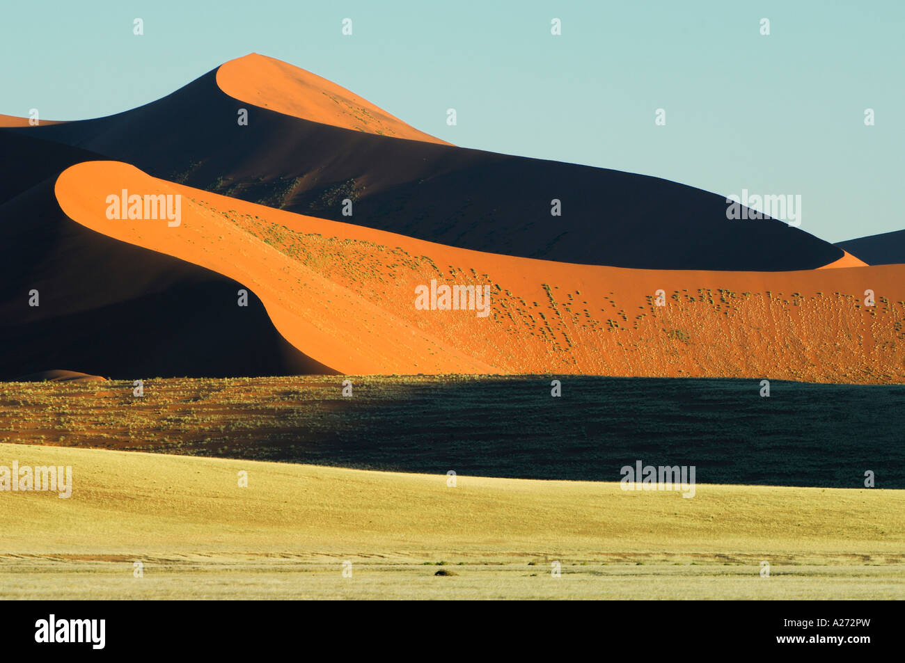 Düne im ersten Tageslicht Namibdesert Namibia Afrika Stockfoto