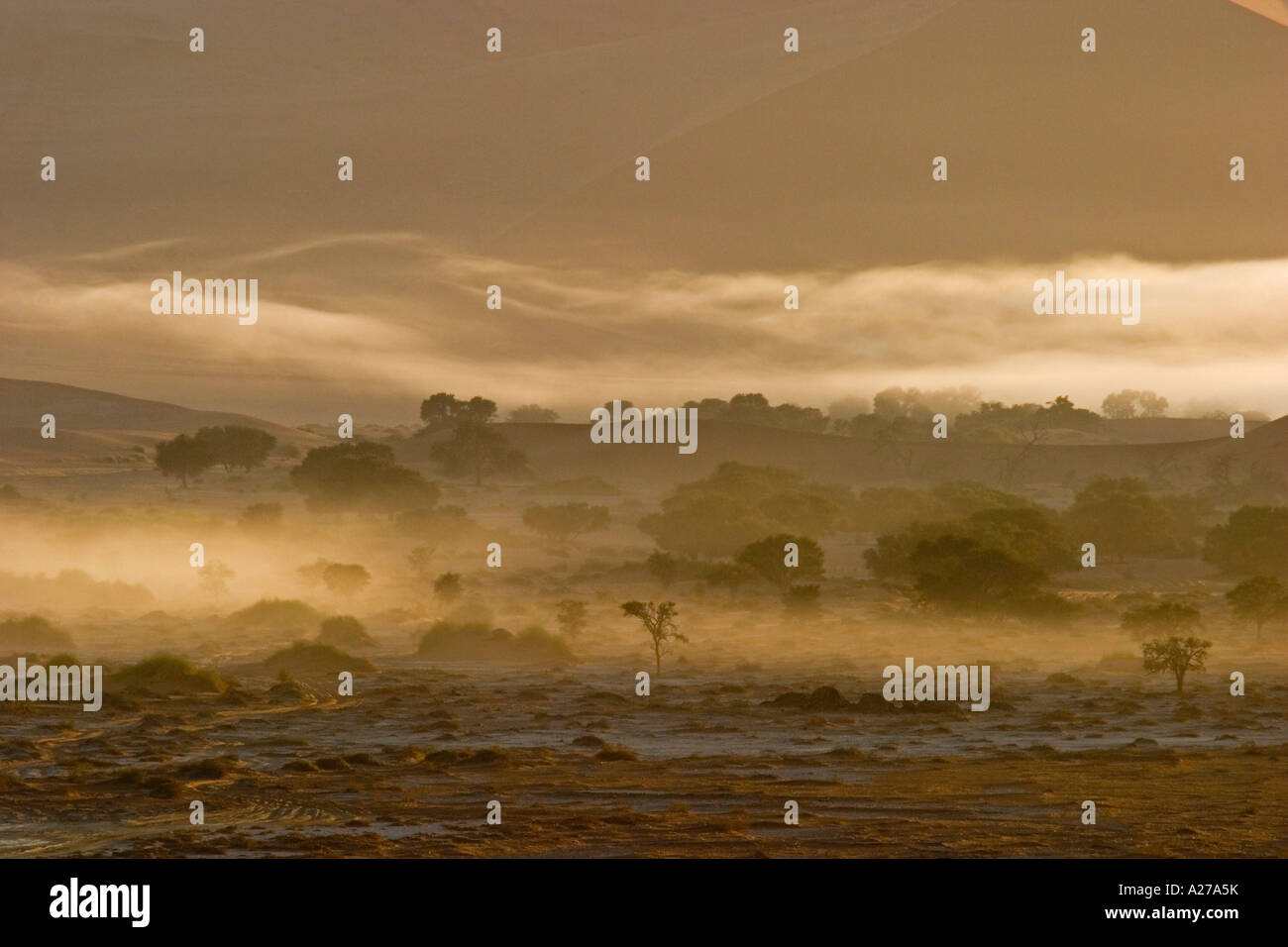 Der Nebel aus dem Ozean (Atlantik) zwischen den roten Dünen. Sossusvlei, Namibia Stockfoto