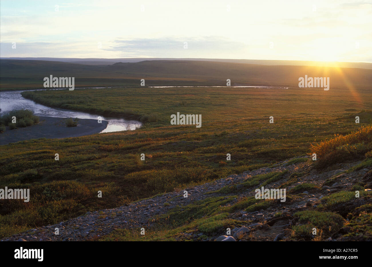 Arktische Tundra Killik Fluss sunset National Petroleum Konserve Alaska North slope Stockfoto