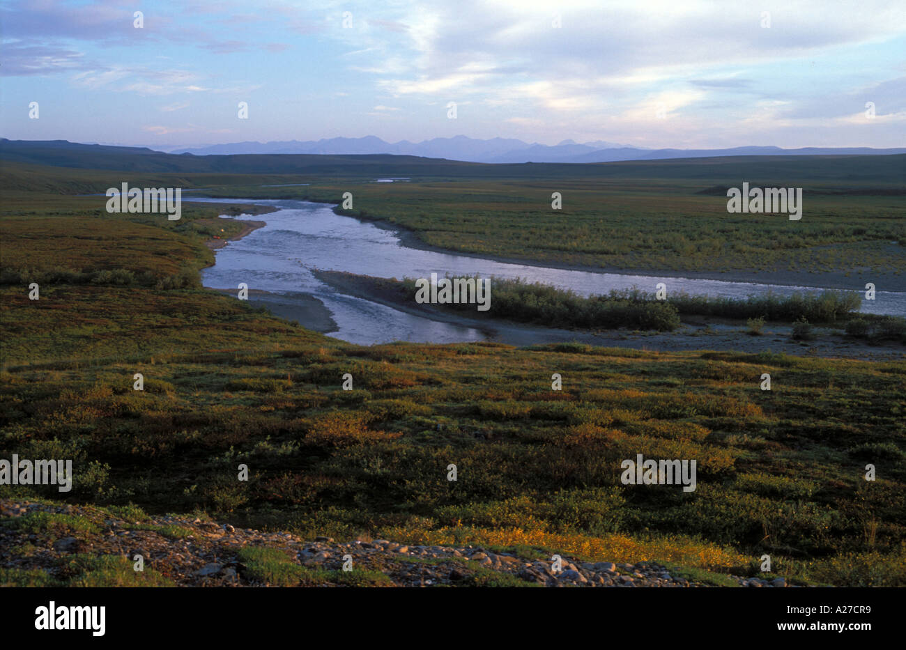 Killik-Fluss fließt durch arktische Tundra mit Brooks Range in den Rücken National Petroleum bewahren Alaska North Slope Stockfoto