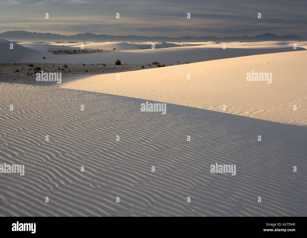 Schöne Wind geformten weißen Gips Dünen im White Sands National Monument Stockfoto