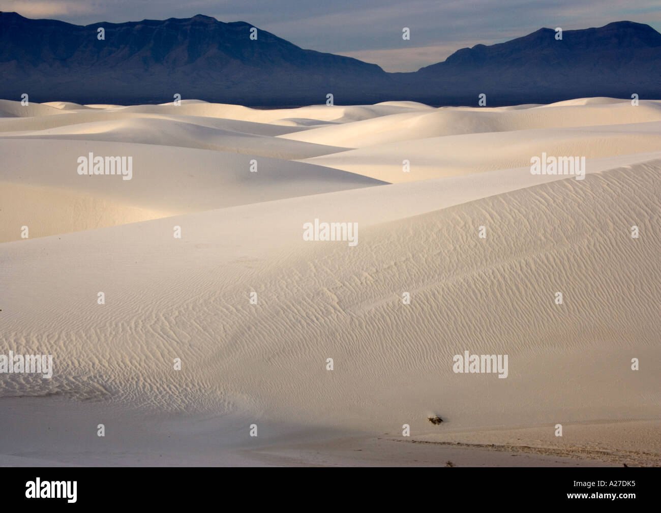 Schöne Wind geformten weißen Gips Dünen frühmorgens White Sands National Monument Stockfoto