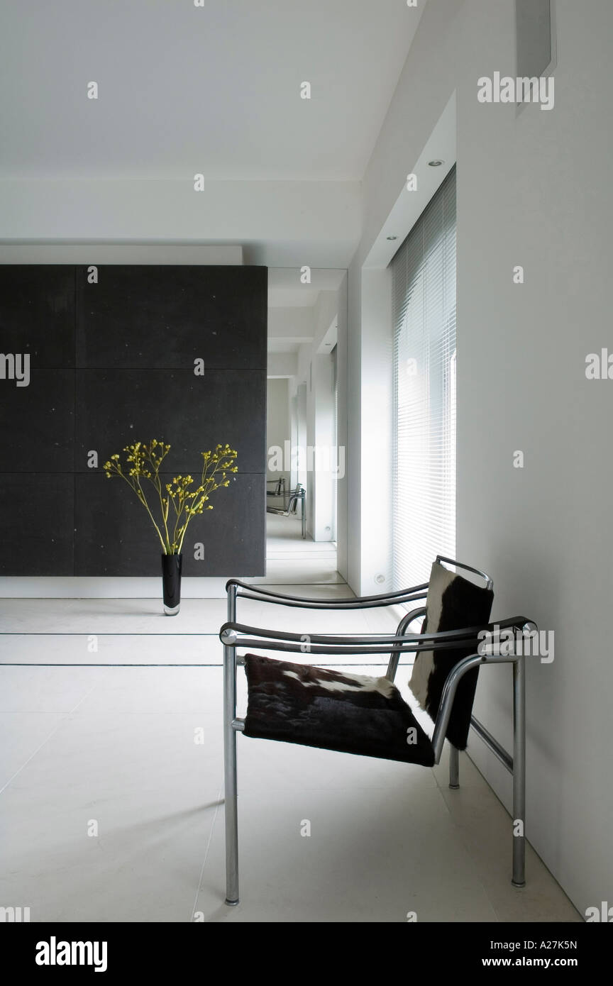 Moderner Stuhl aus Stahl mit Tier verstecken sich im minimalistischen Lager Konvertierung Stockfoto