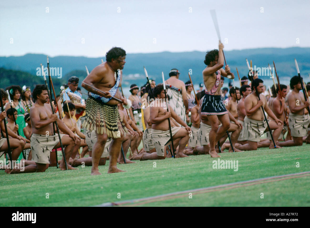 Waitangi neuseeländischen Maori Haka-Kriegstanz Stockfoto
