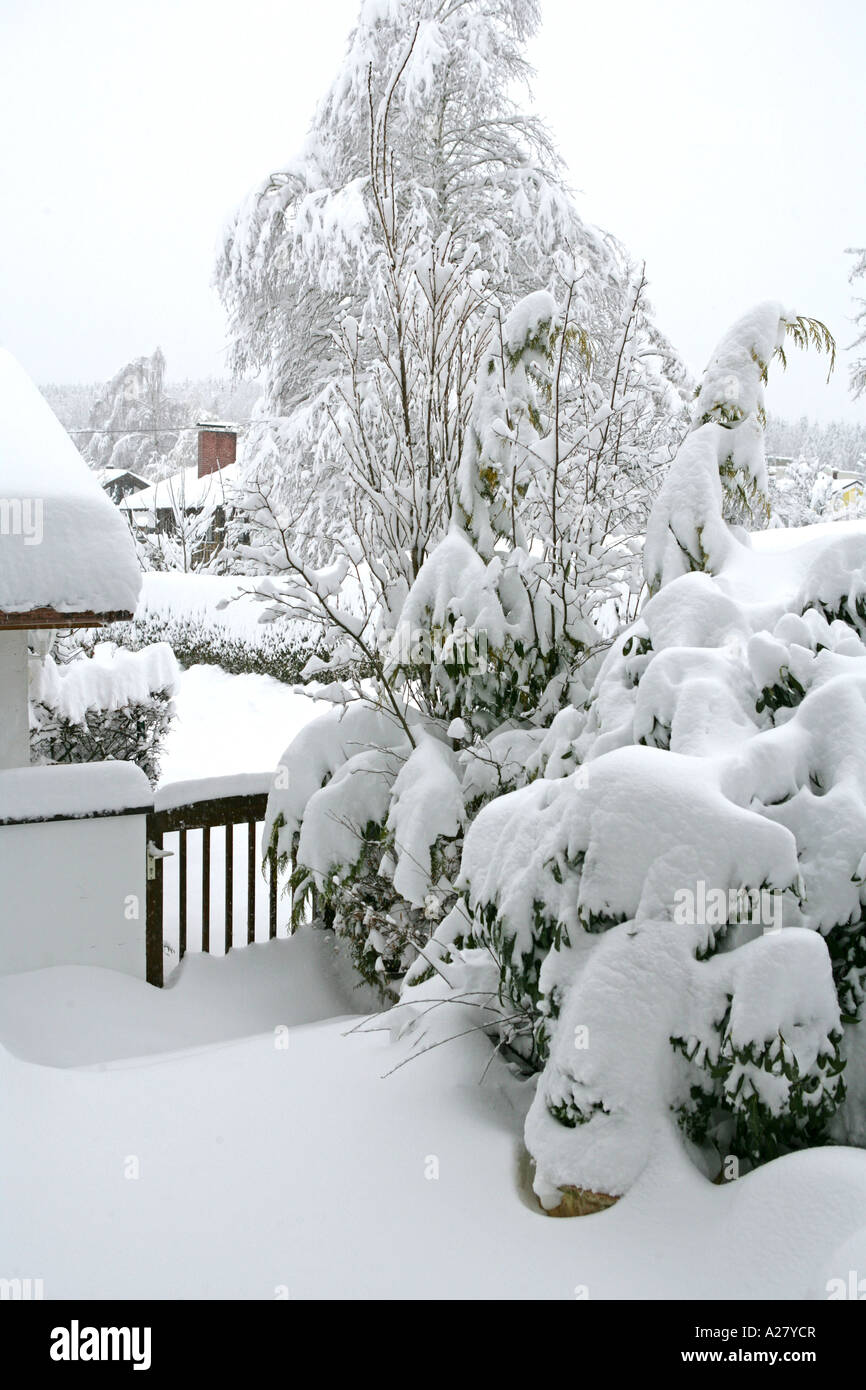 Tief Verschneites Grundstueck Im Winter, Winter Stockfoto