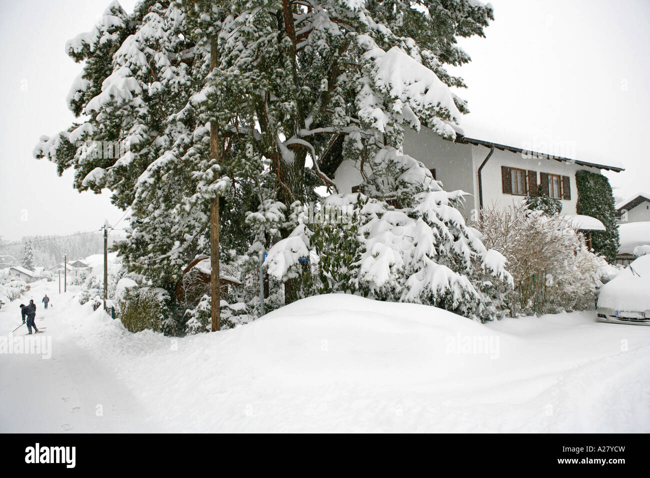 Tief Verschneites Grundstueck Im Winter, Winter Stockfoto