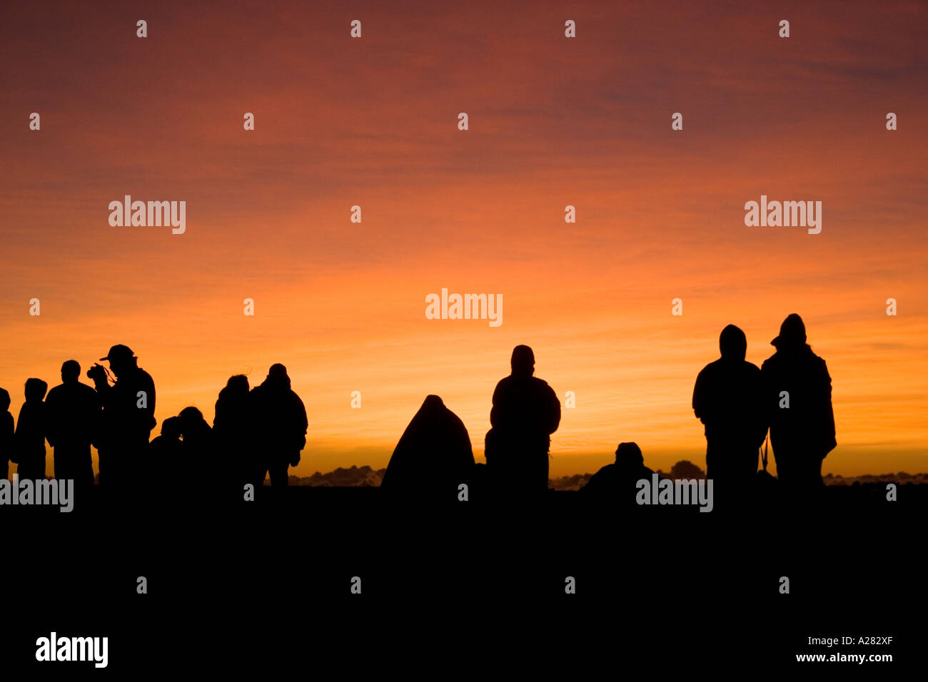 Touristen warten auf den Sonnenaufgang auf Mount Haleakala auf der Insel Maui, Hawaii. Stockfoto