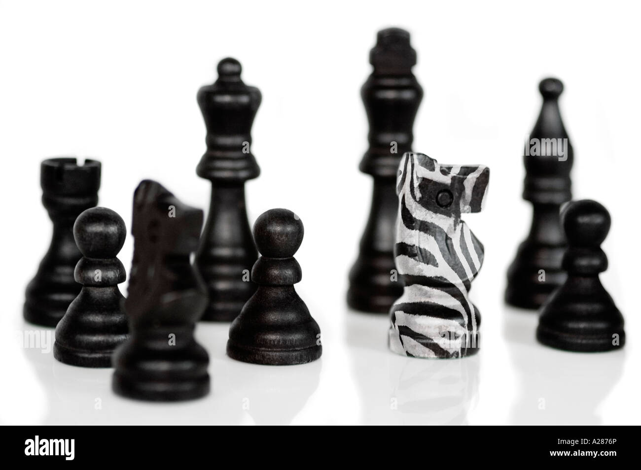 Einzelne Zebra gehäutet Ritter Schachfigur in einer Gruppe von schwarzen Figuren als Symbol für eine Reihe von Konzepten, die unter anderem als stehend Stockfoto
