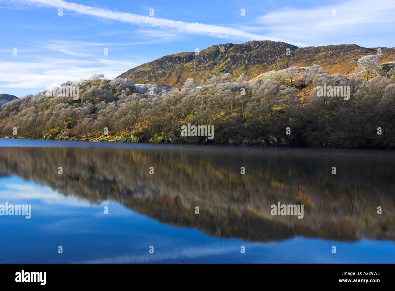 Reflexionen von Frost und Bäume auf Loch Lubhair, Hochland von Schottland, Vereinigtes Königreich Stockfoto