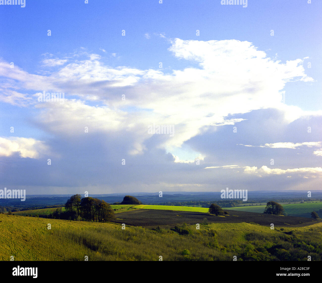Cumulonimbuswolken oben Cranborne Chase dorset England Entwicklung Stockfoto