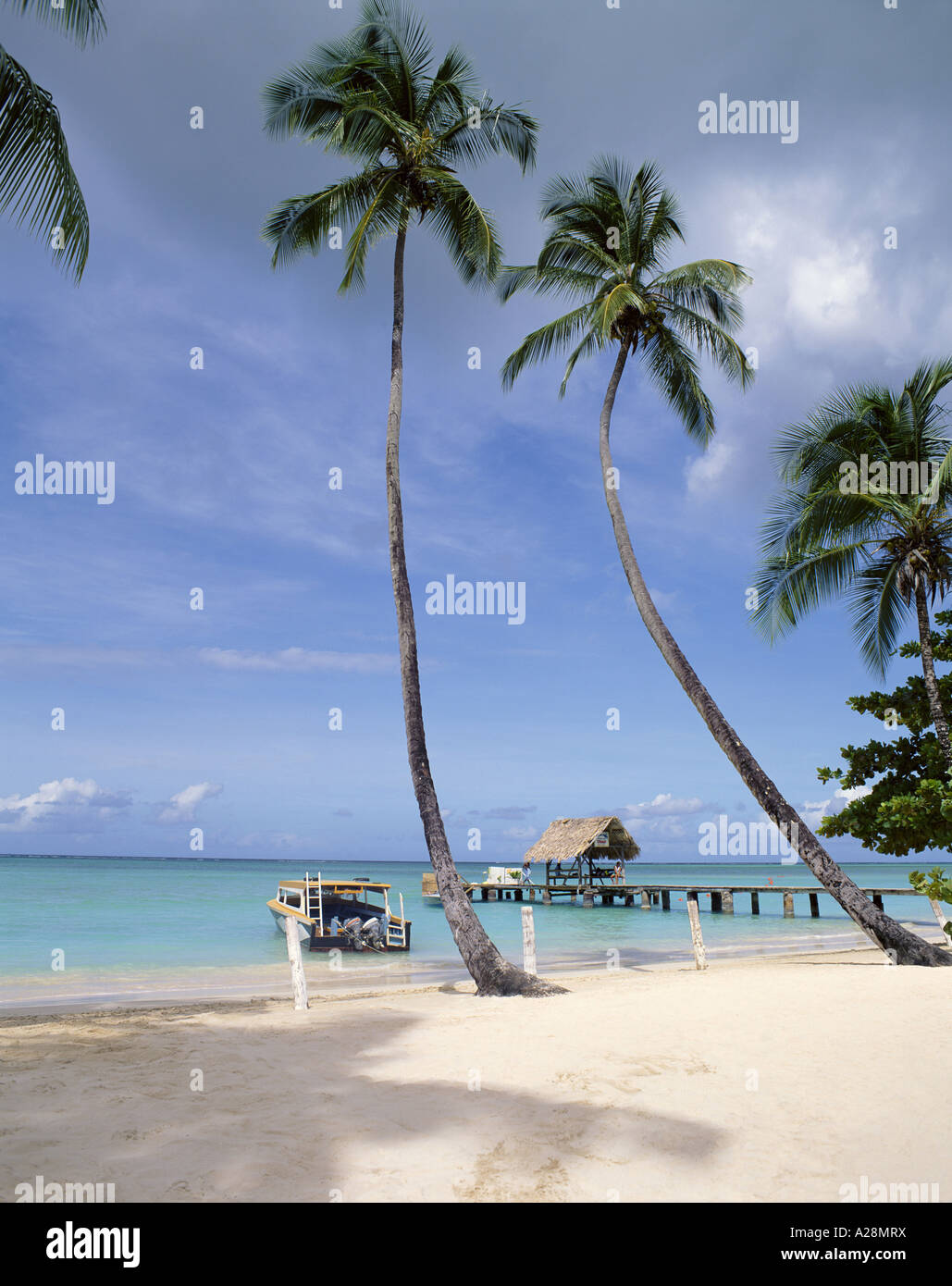 Tropischer Strand, Pigeon Point, Tobago, Trinidad & Tobago, kleine Antillen, Karibik Stockfoto