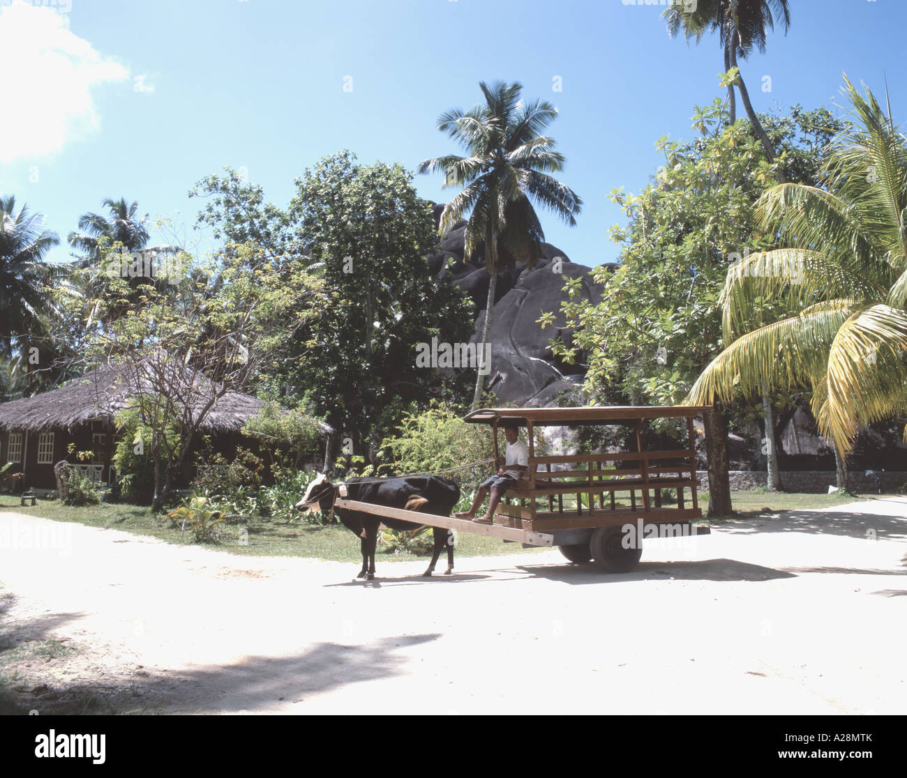 Ochsenkarren, Anse Source d ' Argent Beach, La Digue, Seychellen Stockfoto