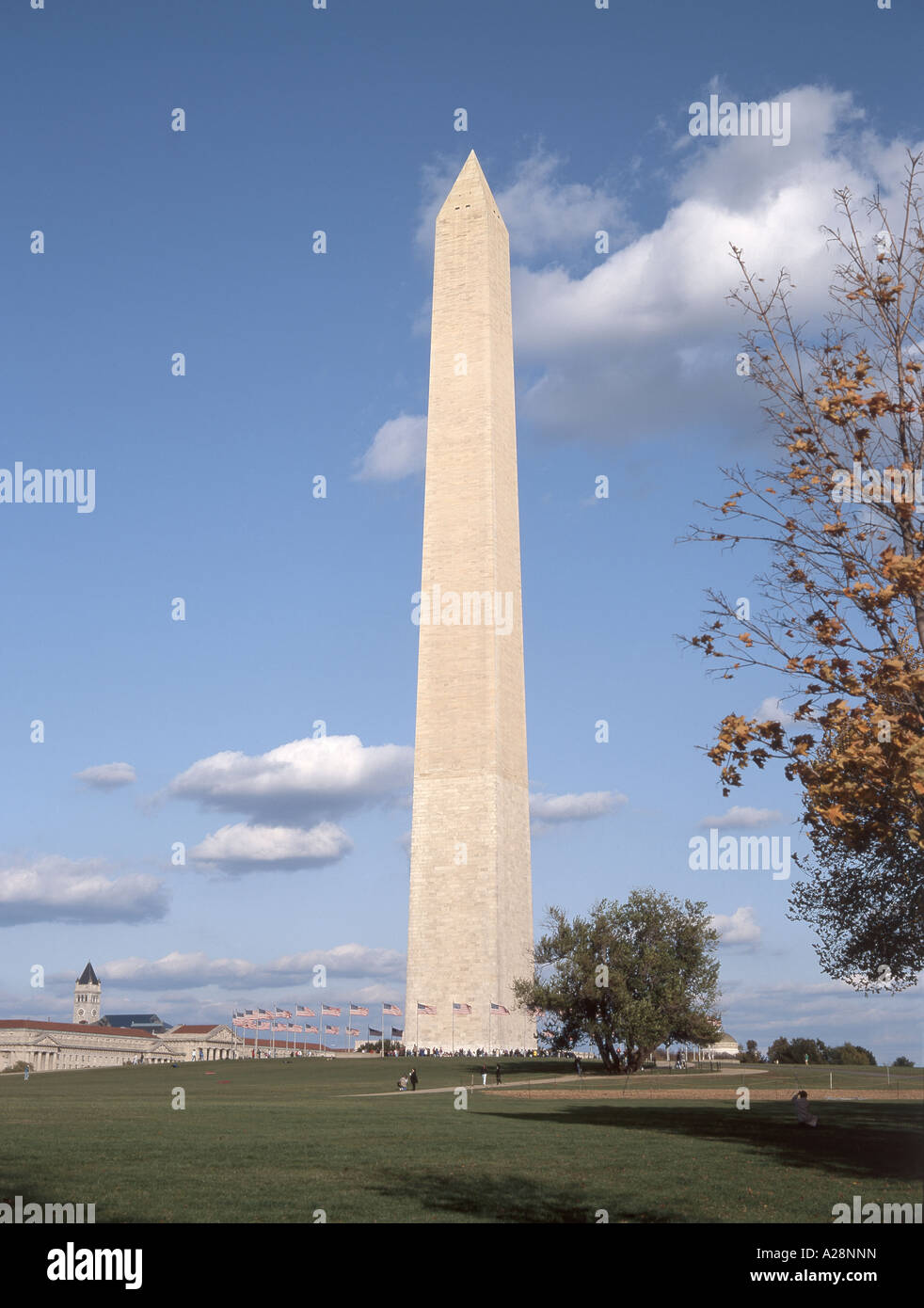 Washington Monument, National Mall, Washington DC, Vereinigte Staaten von Amerika Stockfoto