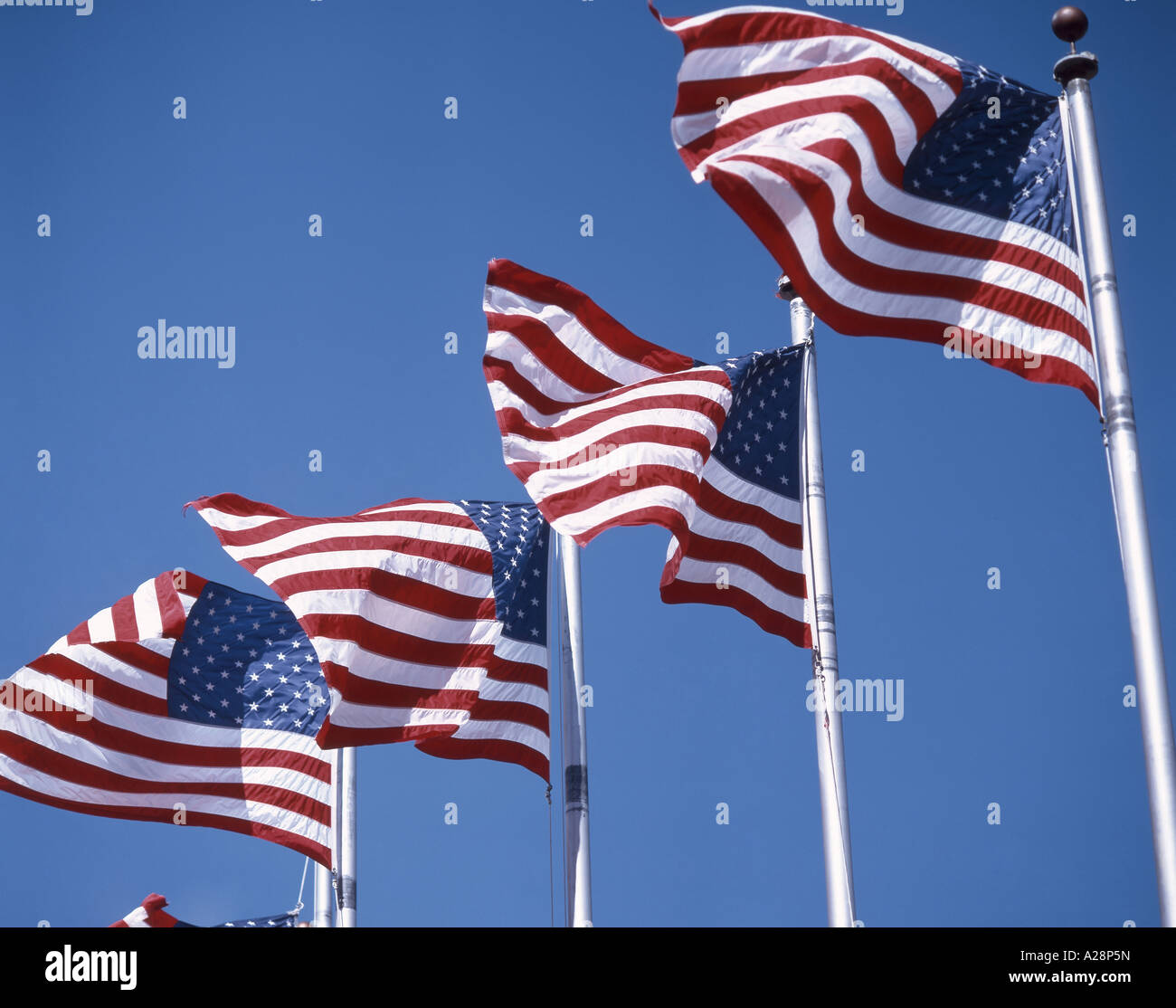 Amerikanische "Stars And Stripes" Fahnen fliegen, Florida, Vereinigte Staaten von Amerika Stockfoto