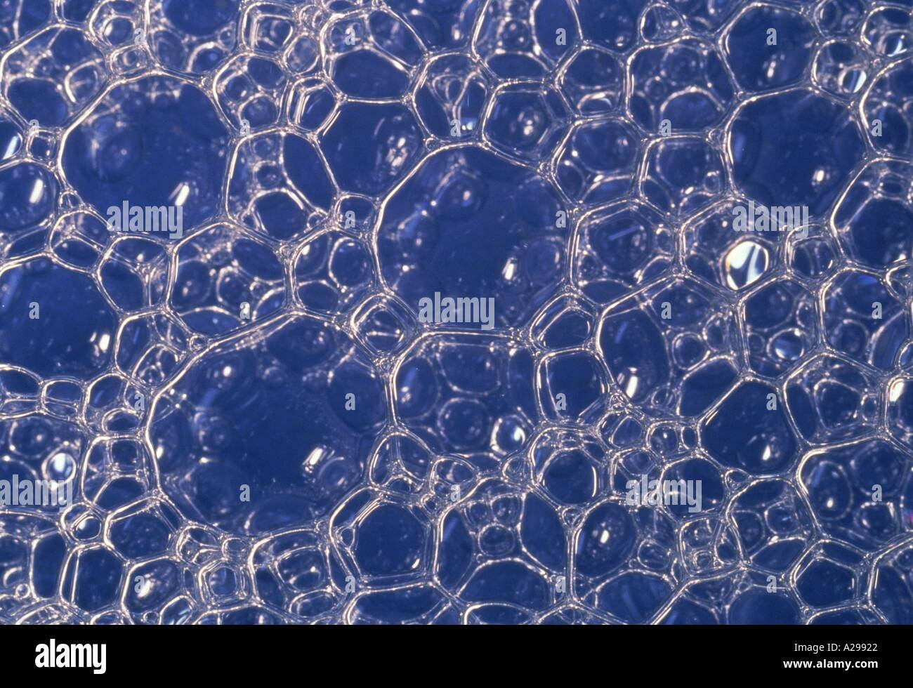 Seifenblasen in einer blauen Schüssel illustrieren sechseckigen Verpackung Array Global Bilder Stockfoto