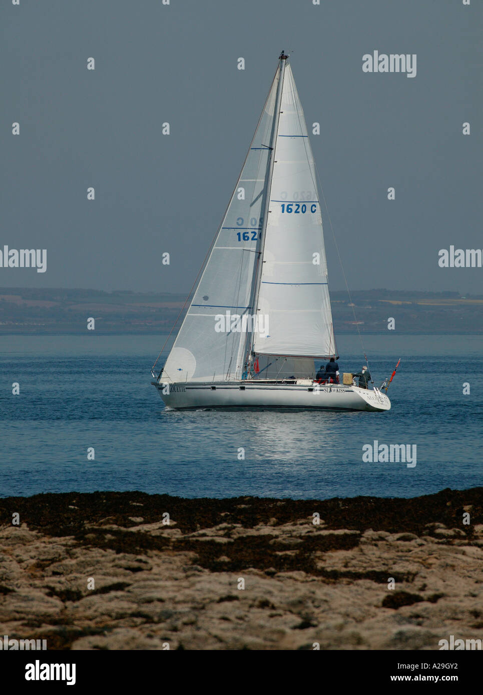 Motoryacht mit weißen Segeln, Segeln in Forth-Mündung, Nordsee, Ostküste, Schottland Stockfoto