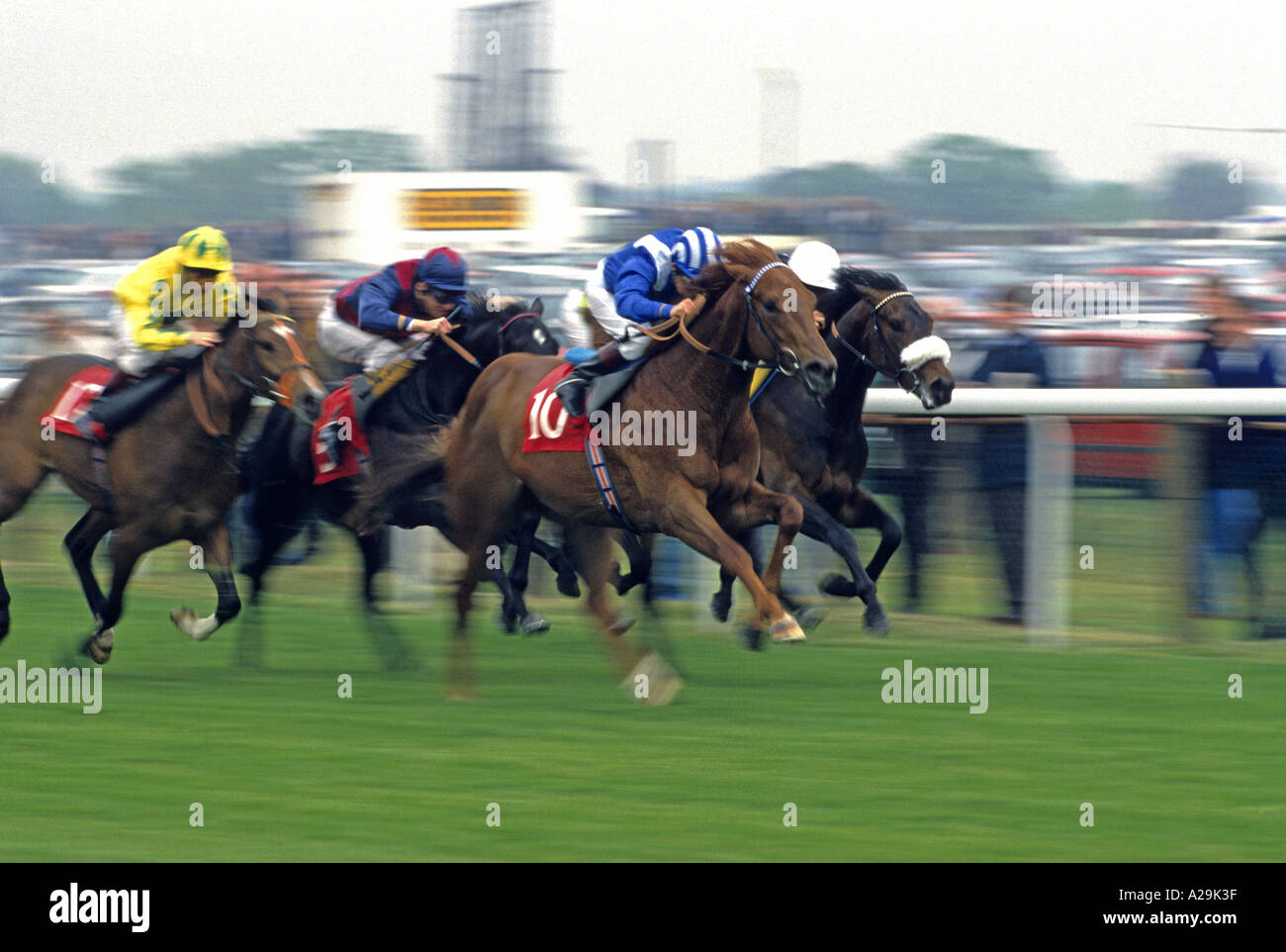 Pferde und Reiter Rennen in der Schlussphase ein Pferderennen in Epsom Stockfoto