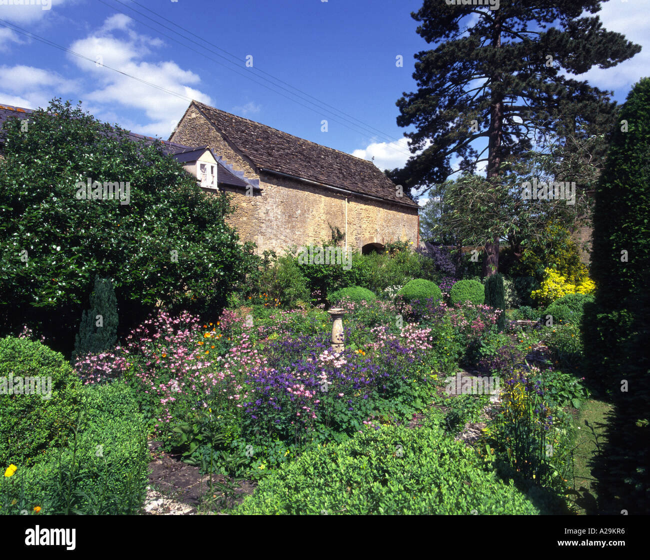 Dicht bepflanzte Garten Grenze Stockfoto