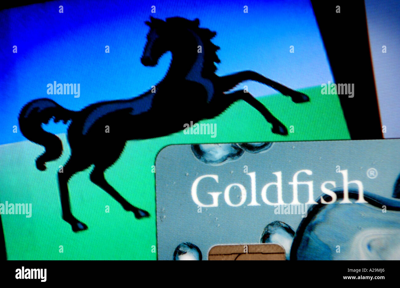 generische Goldfisch Kreditkarte Bild Stockfoto
