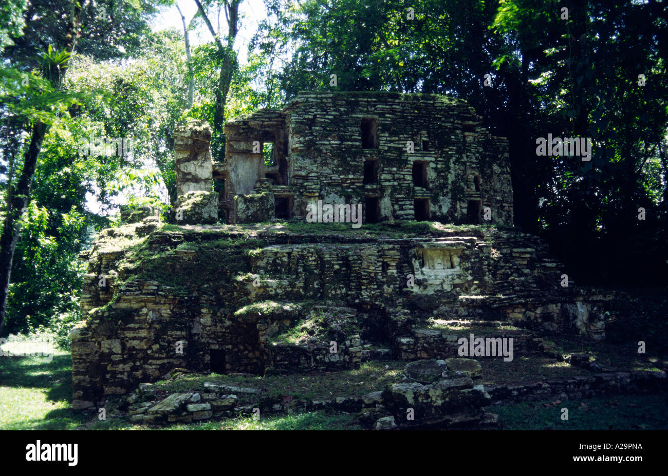 Eine überwucherte Ruine an der Maya-Tempel von Yaxchilan in Chiapas Südmexiko Stockfoto