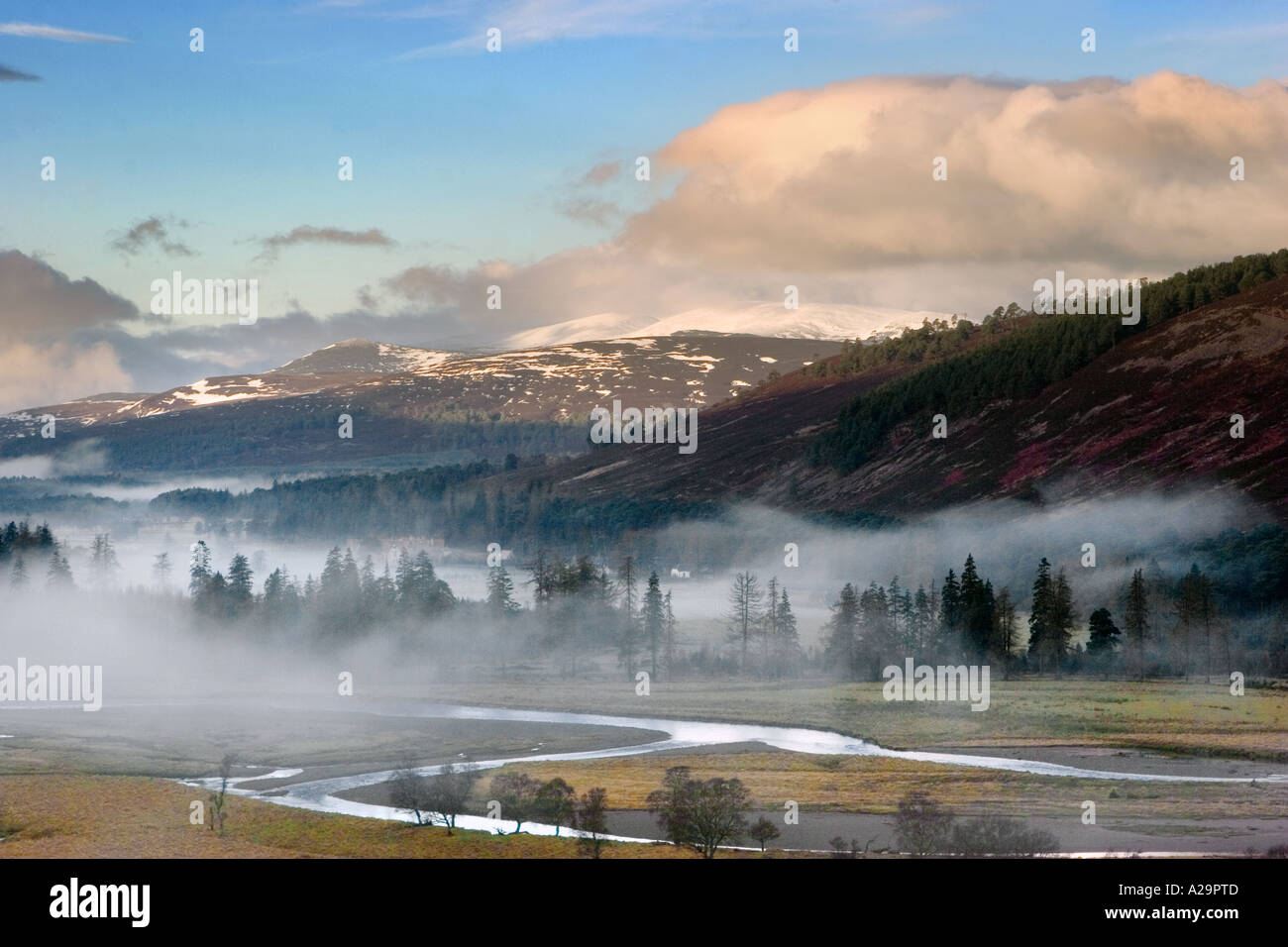 Januar Wetter Inversionsschicht im oberen Einzugsgebiet des River Dee Valley, im Mar Lodge Estate, Royal Deeside, Cairngorms National Park, Schottland, Großbritannien Stockfoto