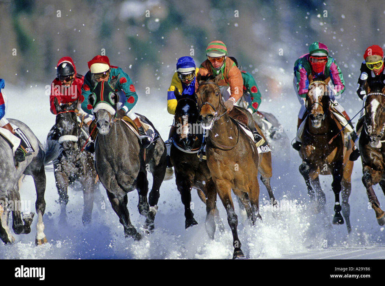 Pferde und Jockeys, die Rennen auf dem Schnee in St. Moritz Schweiz Stockfoto