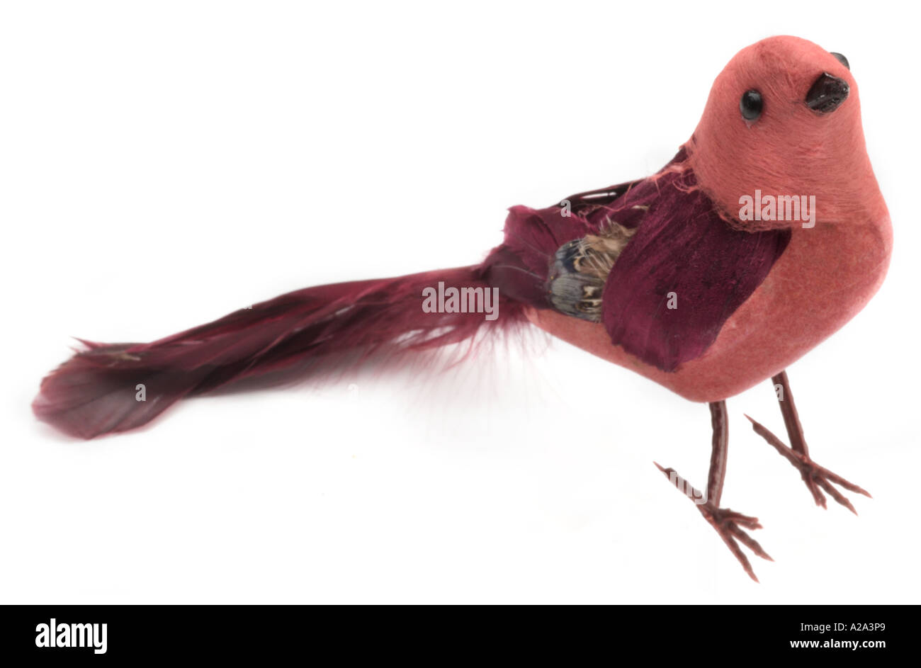 Künstliche Baumwolle und natürliche Feder kleiner Vogel Vogelgrippe Stockfoto