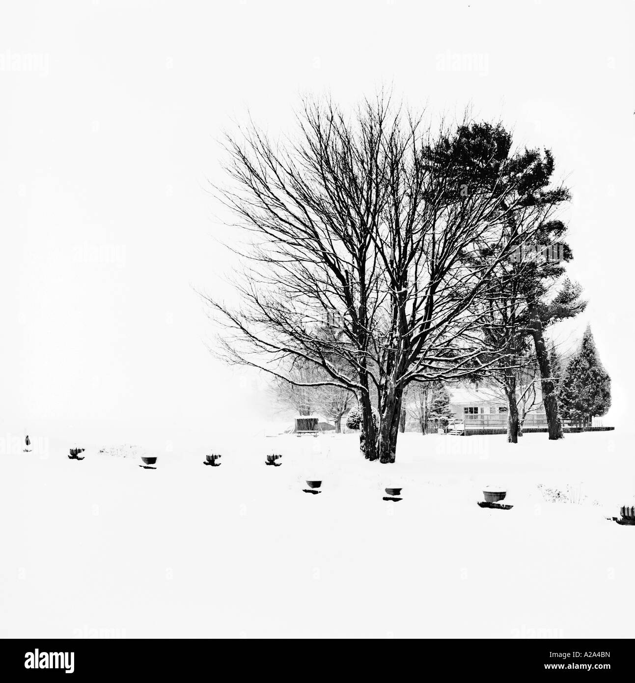 SSM im winter Stockfoto