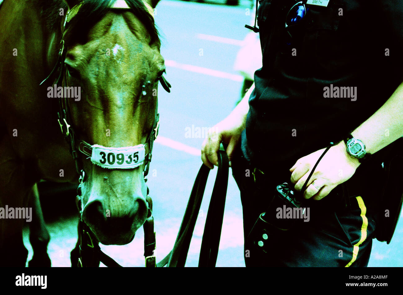 New York City Polizei auf der Hut. Stockfoto