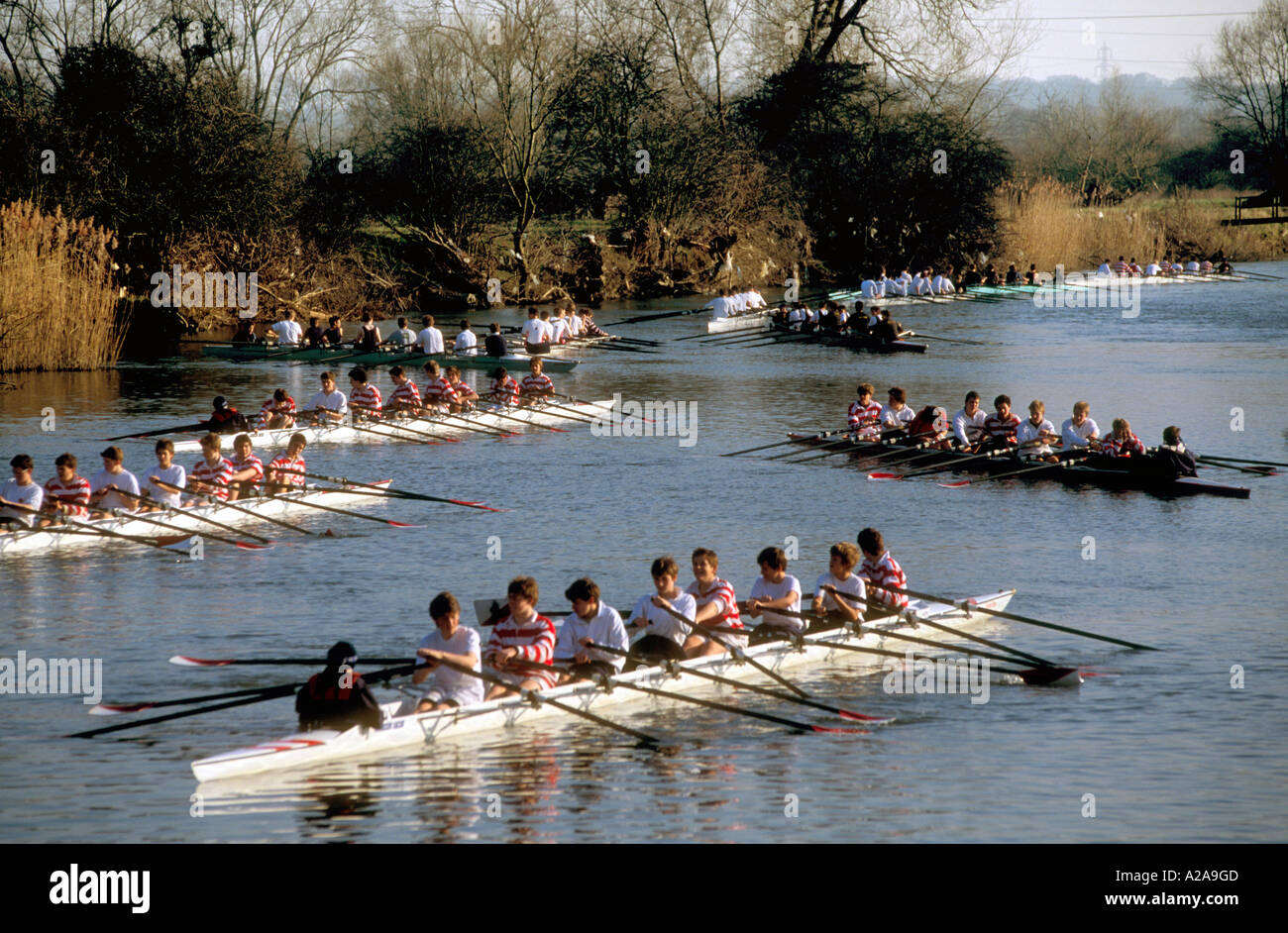 Schule Ruderregatta am Sandridge sperrt auf der Themse Stockfoto