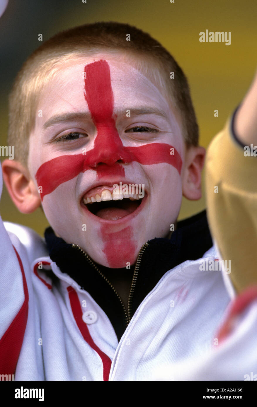 Ein lächelnder junge mit The Cross of St George gemalt auf seinem Gesicht in der Menge bei einer England Rugby Union match Stockfoto