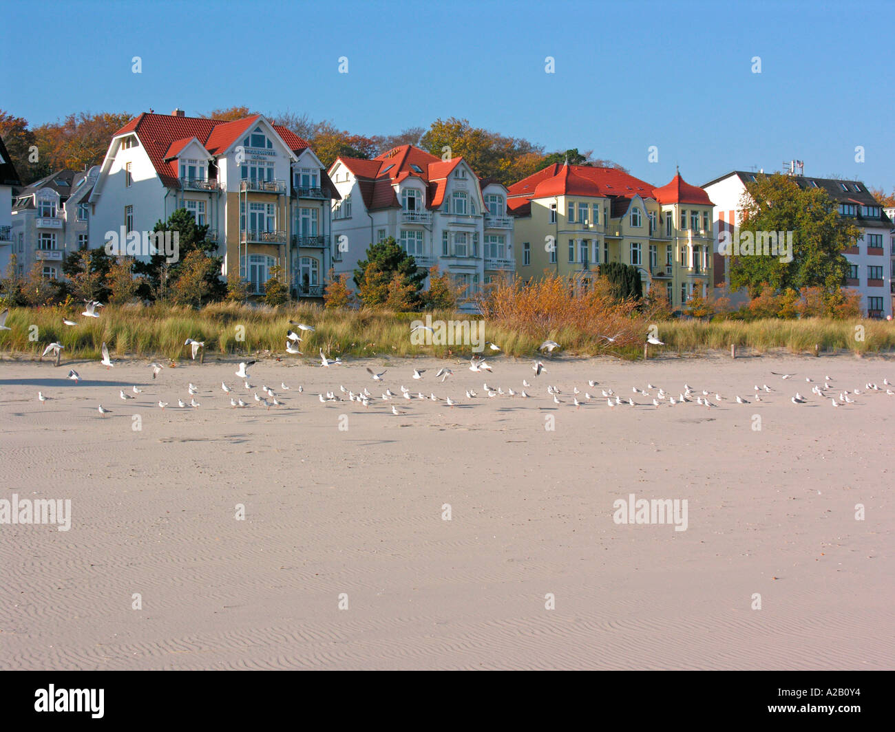 neuen und sanierten Villen und Wohnung befindet sich am Strand von Bansin Insel Usedom Stockfoto neuen und sanierten Villen und Wohnung befindet sich am Strand von Bansin Insel Usedom Stockfoto
