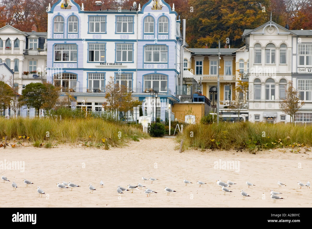 neuen und sanierten Villen und Wohnung befindet sich am Strand von Bansin Insel Usedom Stockfoto neuen und sanierten Villen und Wohnung befindet sich am Strand von Bansin Insel Usedom Stockfoto