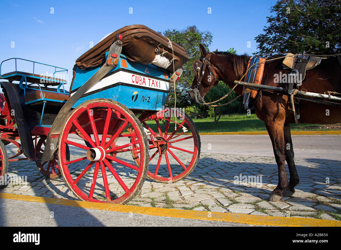 Pferd offenen oberen Pferdekutsche, einem kubanischen Taxi, Guardalavaca, Provinz Holguin, Kuba Stockfoto