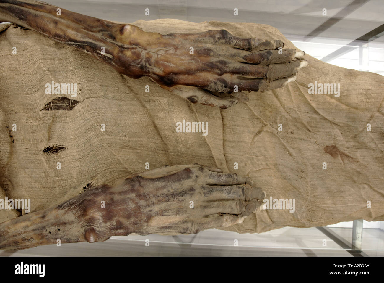 Detail einer Mumie Hände im ägyptischen Museum in Turin, Italien Stockfoto