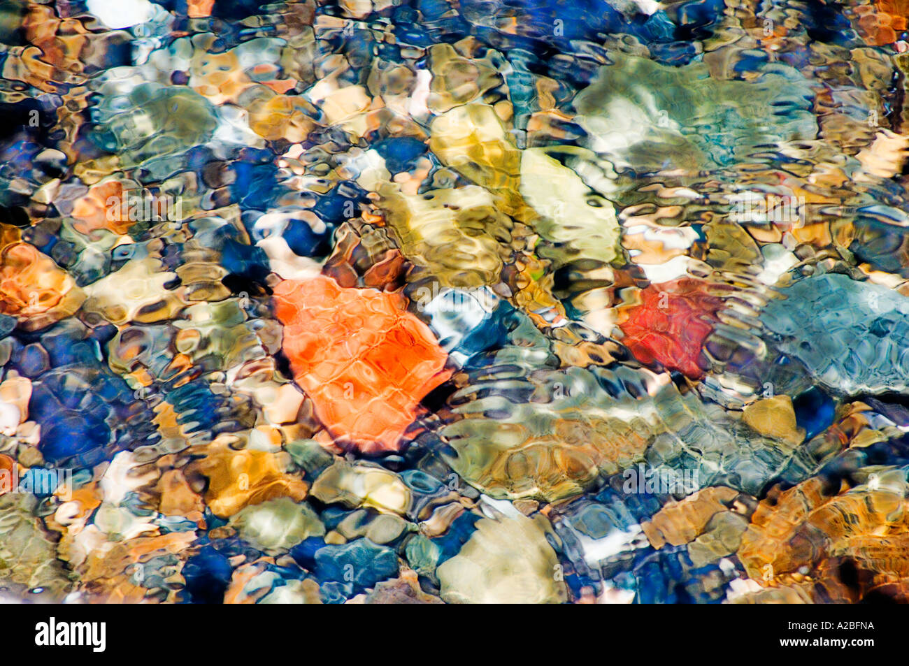 Langzeitbelichtung von bunten Steinen und Muscheln in 1 Zoll Wasser in der Nähe von Küste von Catalina vor Küste Kaliforniens Stockfoto