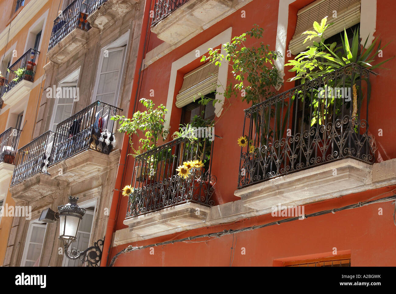 Alicante Alacant Valencia Comunitat Comunidad Valenciana Costa Blanca Spanien iberischen Halbinsel Iberia Hispania España Europa Stockfoto