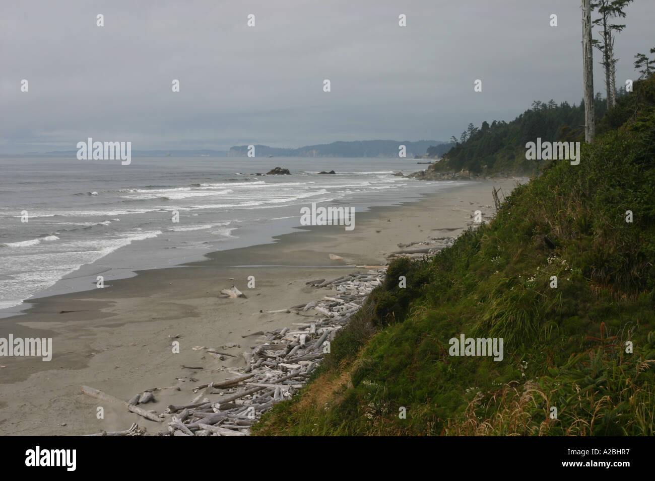 Die windgepeitschten Bäume und Sträucher des zweiten Strand Landzungen kontrastieren mit dem entfernterer Wellen, Treibholz, Strand und "Heuhaufen" Stockfoto