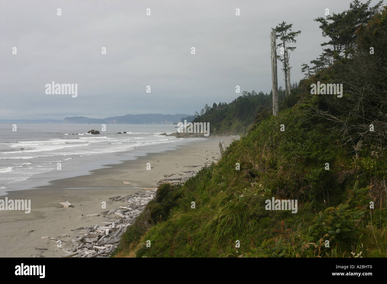 Die windgepeitschten Bäume und Sträucher des zweiten Strand Landzungen kontrastieren mit dem entfernterer Wellen, Treibholz, Strand und "Heuhaufen". Stockfoto