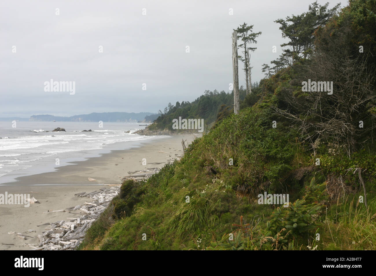 Die windgepeitschten Bäume und Sträucher des zweiten Strand Landzungen kontrastieren mit dem entfernterer Wellen, Treibholz, Strand und "Heuhaufen". Stockfoto